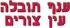 דשנים-עין צורים