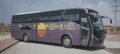 תמונת רובין תיירות בע"מ