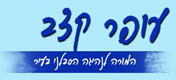 עופר קצב - אוטומט וידני