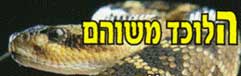 הלוכד משוהם-נחשים וחולדות