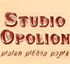 ������ ���������-STUDIO OPOLION