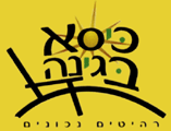 כיסא בגינה רהיטים נכונים בע"מ