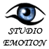 ������ ������ - studio emotion