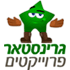 גרינסטאר פרוייקטים - דשא סינטטי
