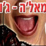 אמאל'ה ג'וק ד"ר עכבר 24 שעות הדברות בע"מ