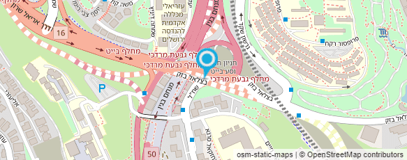 מפת הגעה אל פרופ' פרקש עמיצור