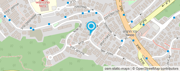 מפת הגעה אל בגון חיים