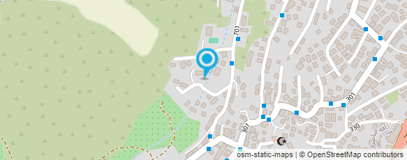 מפת הגעה אל סלון מחמוד