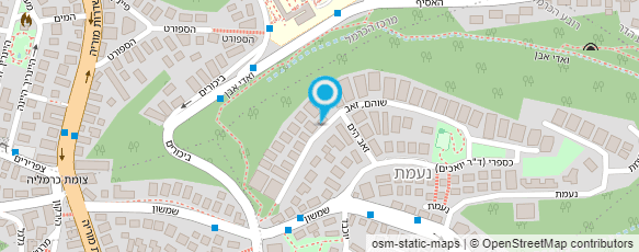 מפת הגעה אל פלדמן נירה