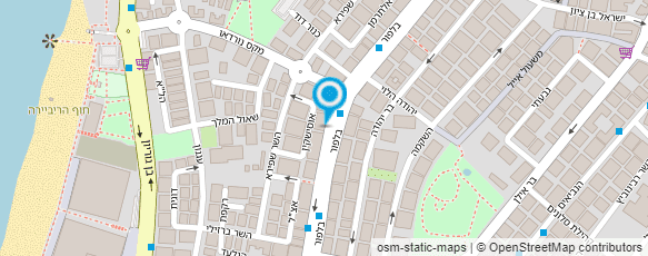 מפת הגעה אל לילך פרחים ובלונים