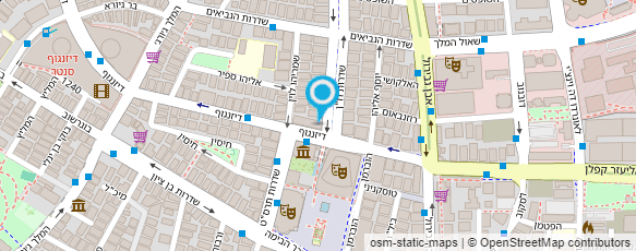 מפת הגעה אל מכולת סלומון