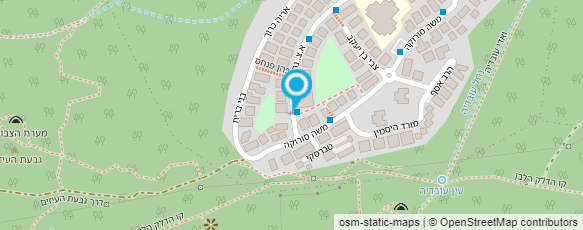 מפת הגעה אל קוזין פנינה - טיפול בדיבור