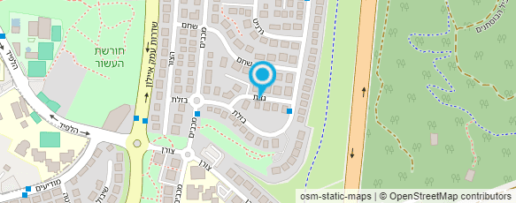 מפת הגעה אל אלפא לוגיקה ישראל בע"מ