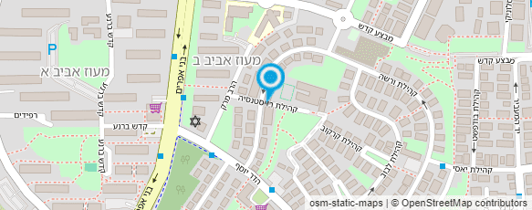 מפת הגעה אל "דוד ילין"