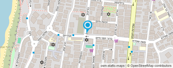 מפת הגעה אל גינזבורג דוד וראובן