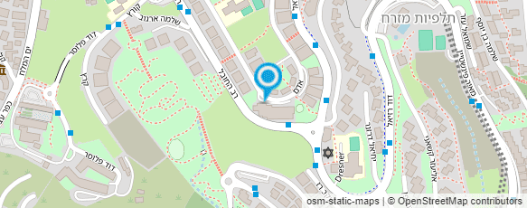 מפת הגעה אל הנדין רון