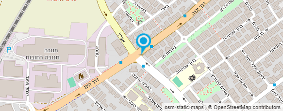 מפת הגעה אל מוטורס מדיק בע"מ