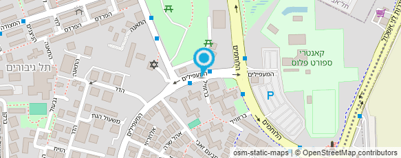 מפת הגעה אל ד"ר לוי לילי