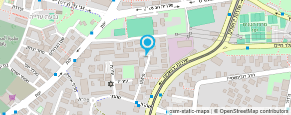 מפת הגעה אל "החשמונאים"