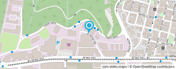 מפת הגעה אל רייזמן-לשם ושות'