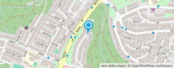 מפת הגעה אל בן יהודה לילי