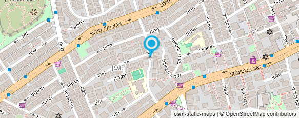 מפת הגעה אל עיצוב שיער התאומים