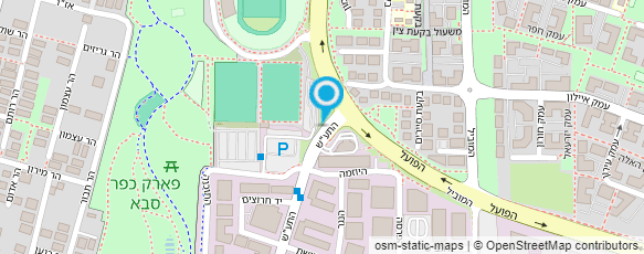 מפת הגעה אל ניפון פרטס בע"מ