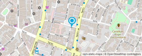 מפת הגעה אל מכון דוד