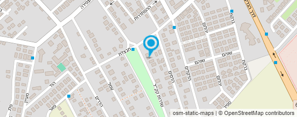 מפת הגעה אל בורובסקי דליה