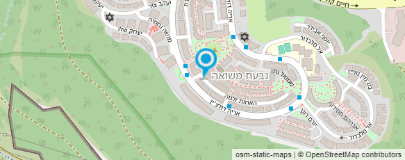 מפת הגעה אל בן אהרון עמי