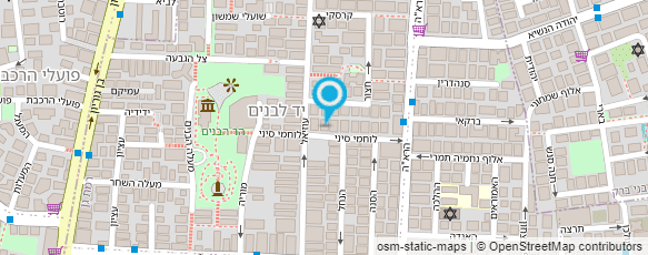 מפת הגעה אל אינשטיין צבי