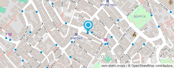 מפת הגעה אל ליאון תמרי