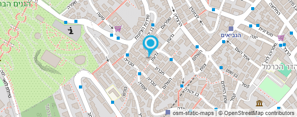 מפת הגעה אל גרצ'וק - תמר