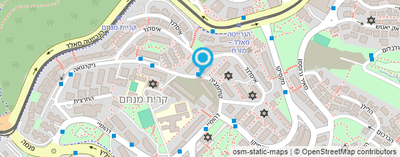 מפת הגעה אל מכון הנרייטה סאלד