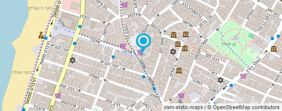 מפת הגעה אל קבוצת ראדי (1991) בע"מ