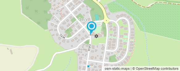 מפת הגעה אל אריה נאור - שירותי גינון