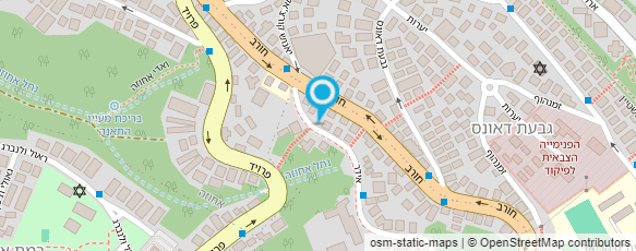 מפת הגעה אל ד"ר שטרן-מירז שרלוטה