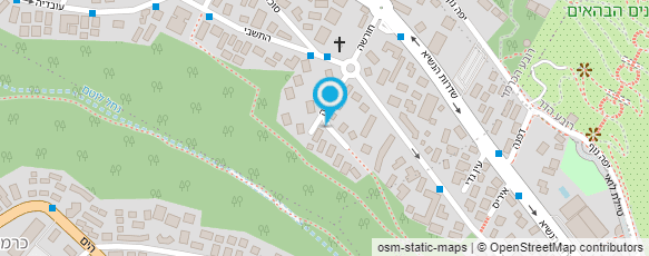 מפת הגעה אל פרופ' עציוני עמוס