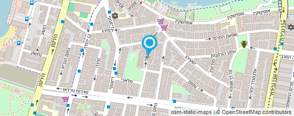 מפת הגעה אל ד"ר גרשנזון אלה