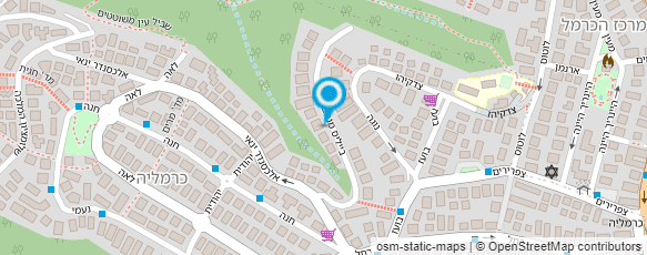 מפת הגעה אל גד אריאל מעצב גרפי