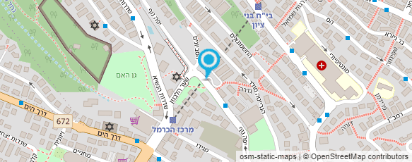 מפת הגעה אל ד"ר חורש צבי