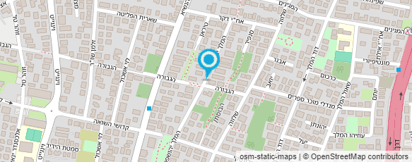 מפת הגעה אל לבון איריס