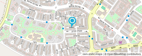 מפת הגעה אל ספידי מיוזיק