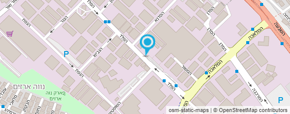 מפת הגעה אל אגזוזי סלינס