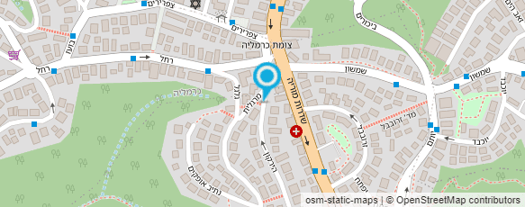 מפת הגעה אל פרופ' מרתה דירנפלד