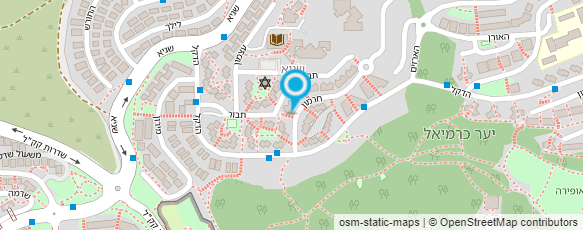 מפת הגעה אל ארמונד לוי