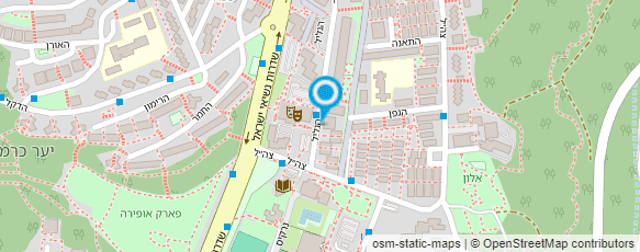 מפת הגעה אל ד"ר מינישין לב