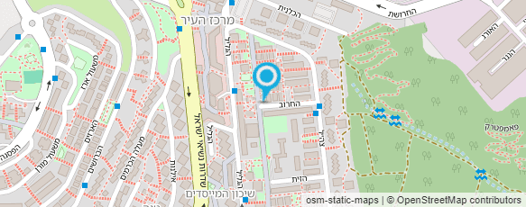 מפת הגעה אל ד"ר קרימשטיין אירינה