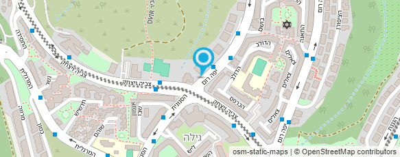 מפת הגעה אל ד"ר דליה בלשן