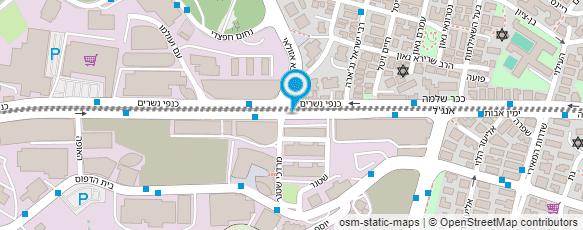 מפת הגעה אל הצורפים בע"מ